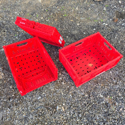 Lădiță pliabilă ( 500 buc ) IFCO LL4314 roșii 40x30x15 cm,