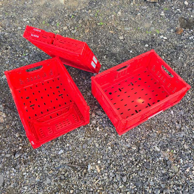 Lădiță pliabilă ( 500 buc ) IFCO LL4314 roșii 40x30x15 cm, – 20,00&nbsp;lei – ElectronicAuto