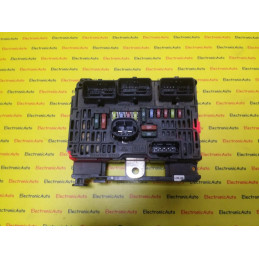 Panou Sigurante Peugeot, S118983009B, 9658070980, BSML0900
