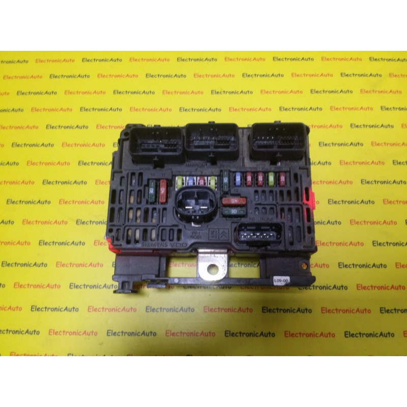 Panou Sigurante Peugeot, S118983009B, 9658070980, BSML0900