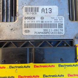 ECU Calculator motor HYUNDAI I30, 0281015865, 391112A170, – 1.400,00&nbsp;lei – ElectronicAuto